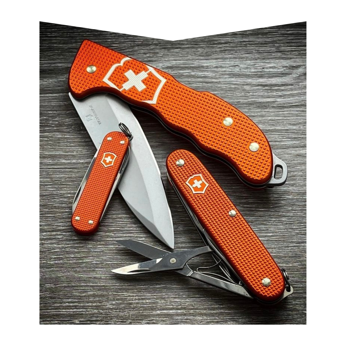 Swiss Army Knife from Hudson's Bay