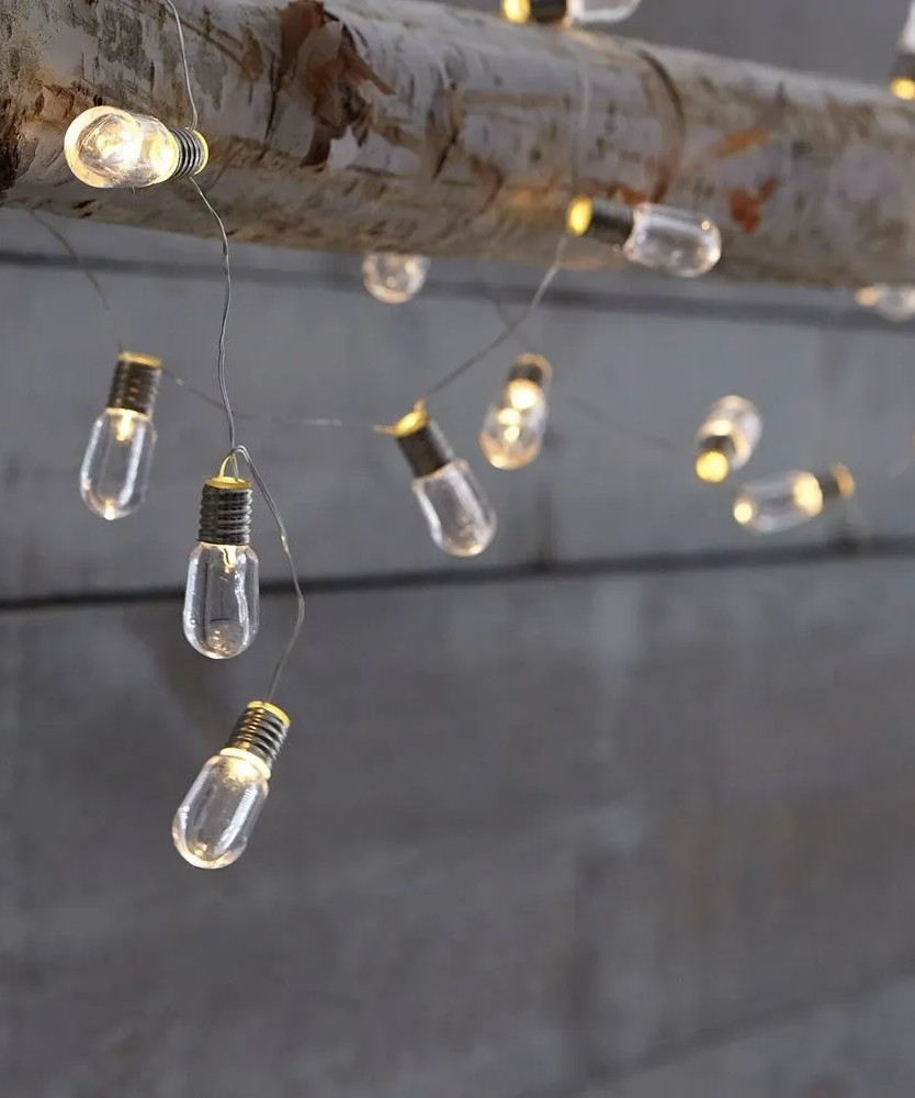Image of string lights hanging from a tree branch