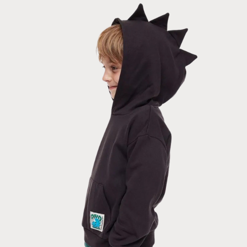 dino hoodie