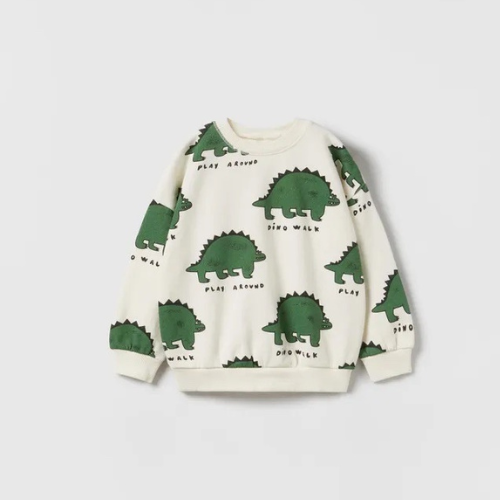 dino kid's sweatshirt