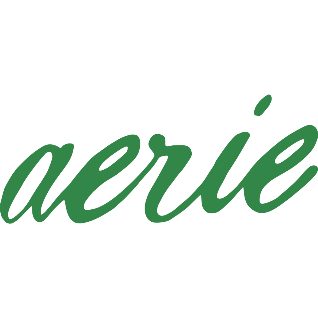 Aerie logo