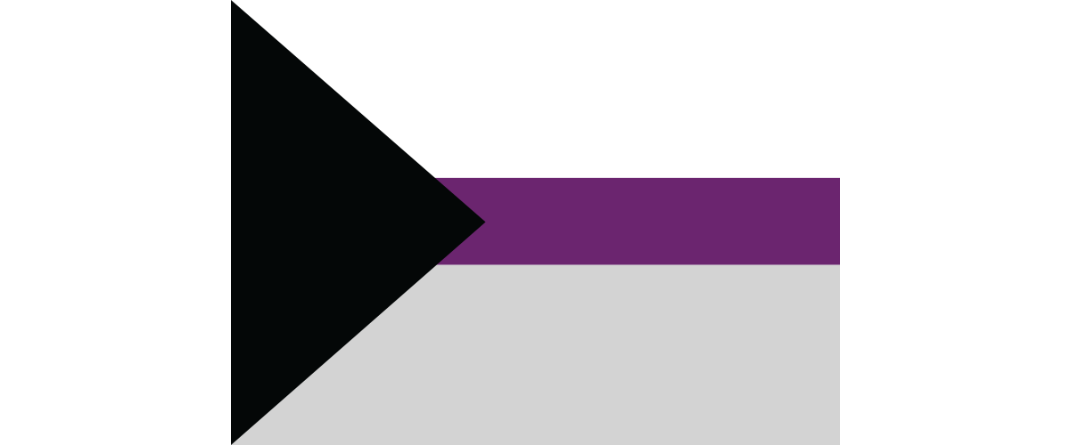 Image of the demisexual pride flag. At the top of the flag is a white stripe, which represents sexual attraction, and below it sits a small purple stripe, which represents community, then a large grey stripe at the bottom for demisexuality. Lastly, there’s a black triangle at the left-hand side of the flag which represents asexuality.
