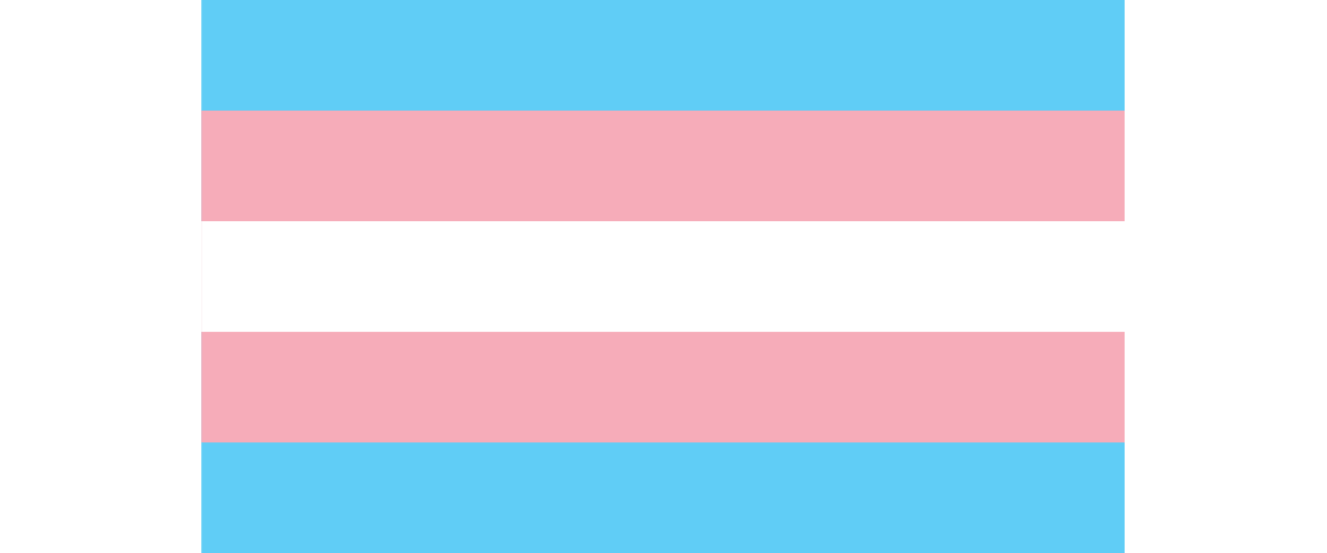 Image of the transgender pride flag. It has five horizontal stripes of blue, pink, white, pink, blue.