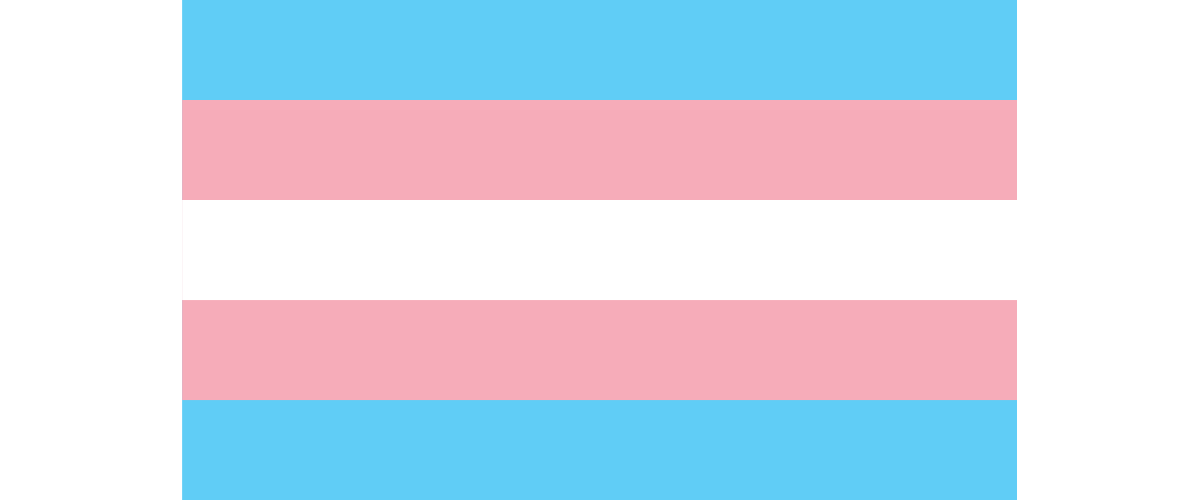 Image of the transgender pride flag. It has five horizontal stripes of blue, pink, white, pink, blue.