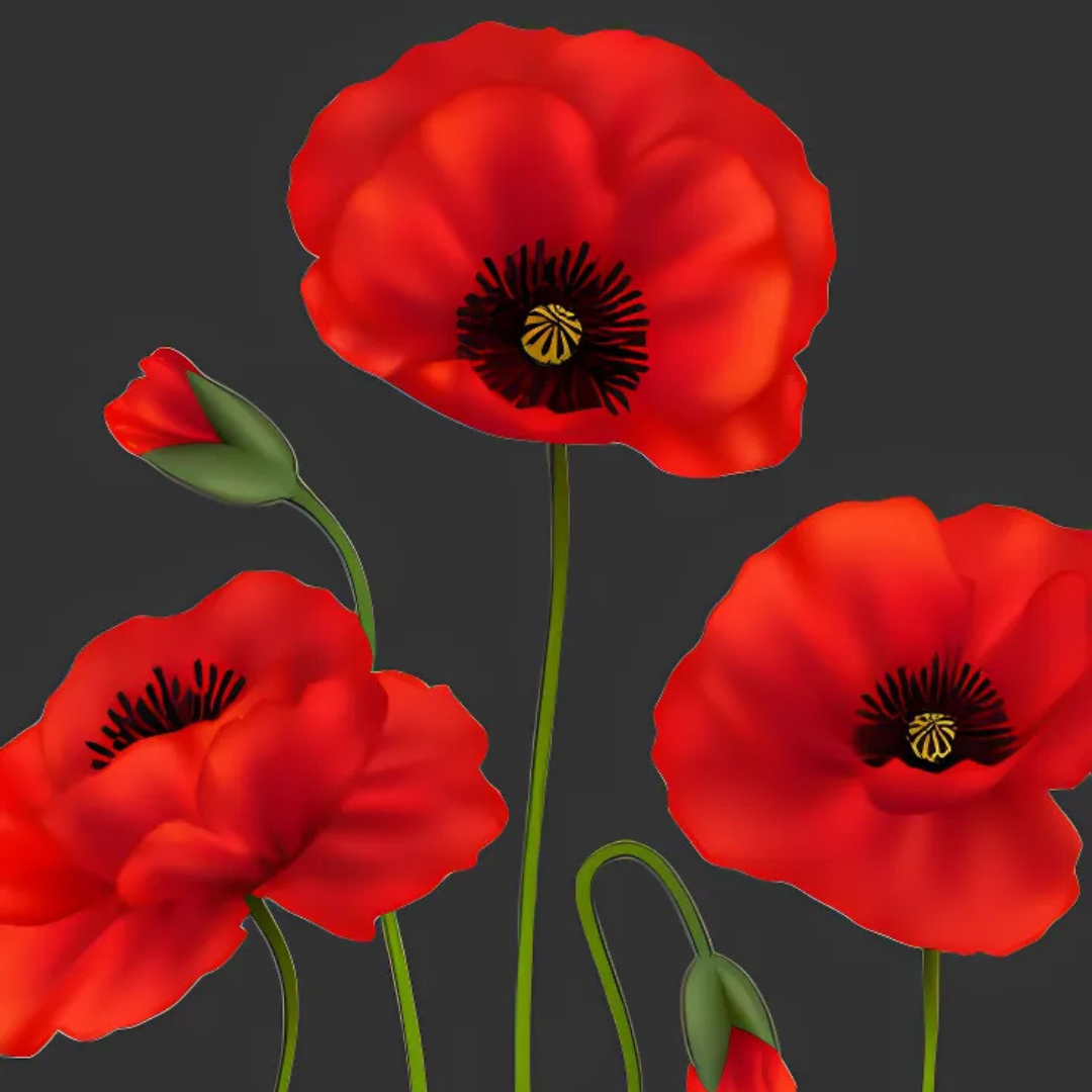 Poppies