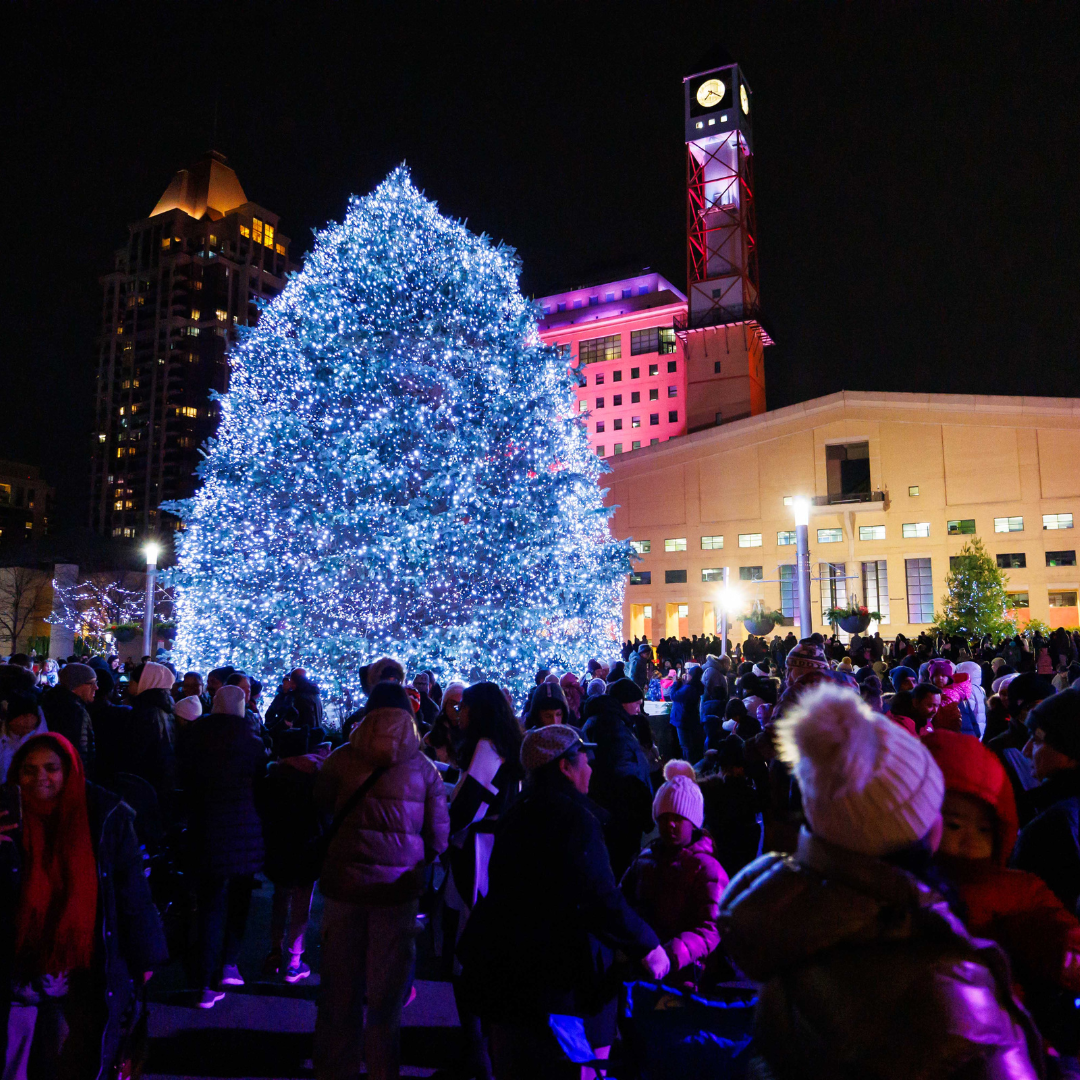 A lit up Christmas Tree surrounded by a large crowd