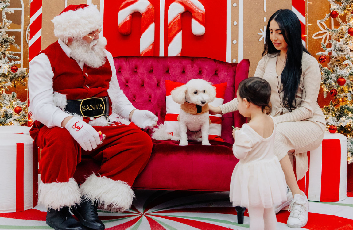 A little girl, a woman and a dog sitting with Santa.