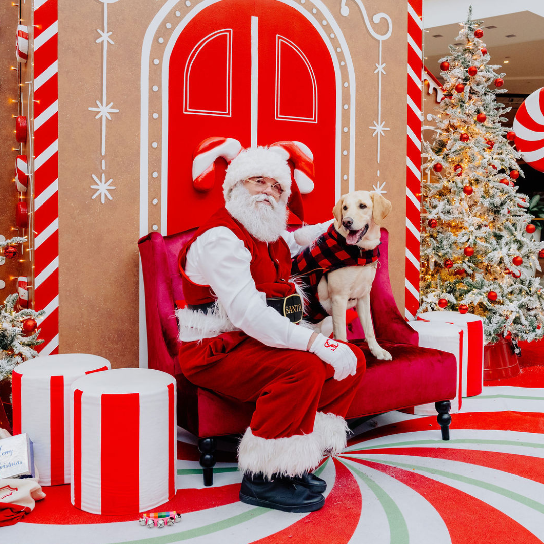 Santa sitting with a dog