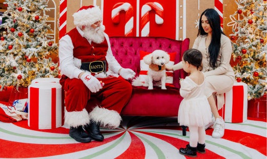 A little girl, a woman and a dog sitting with Santa.