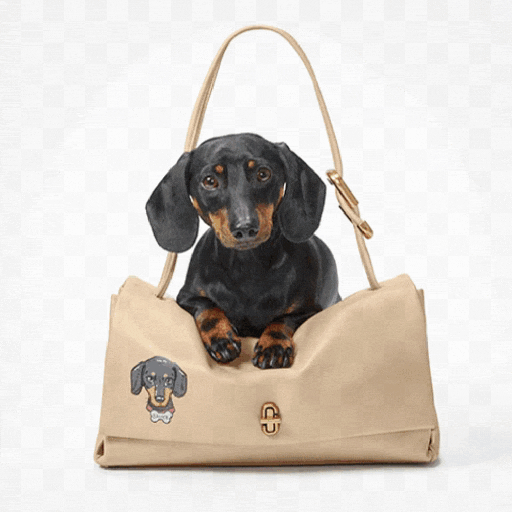 A small black dog posing with various Marc Jacobs handbags