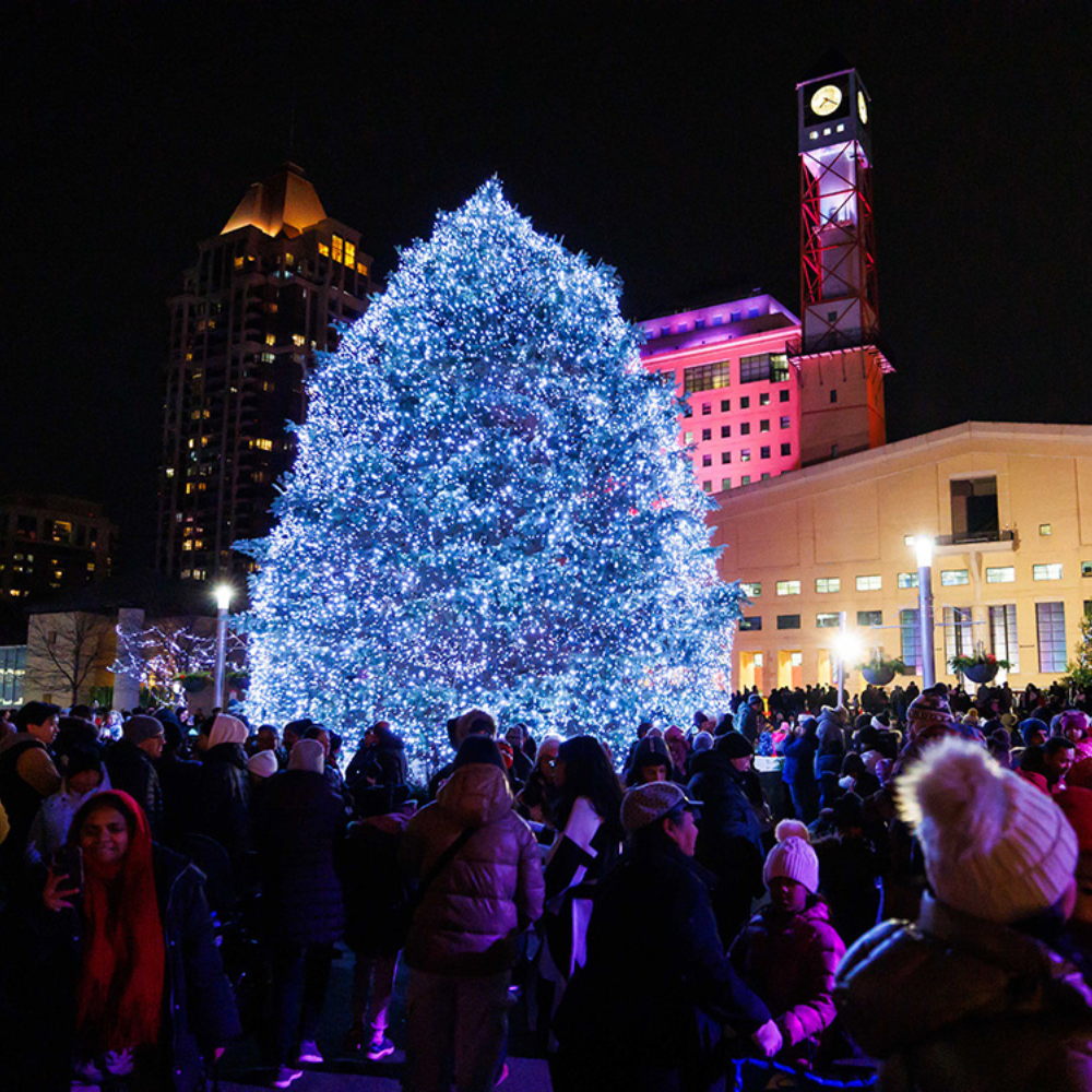 A lit up Christmas Tree at Celebration Square in Mississauga.